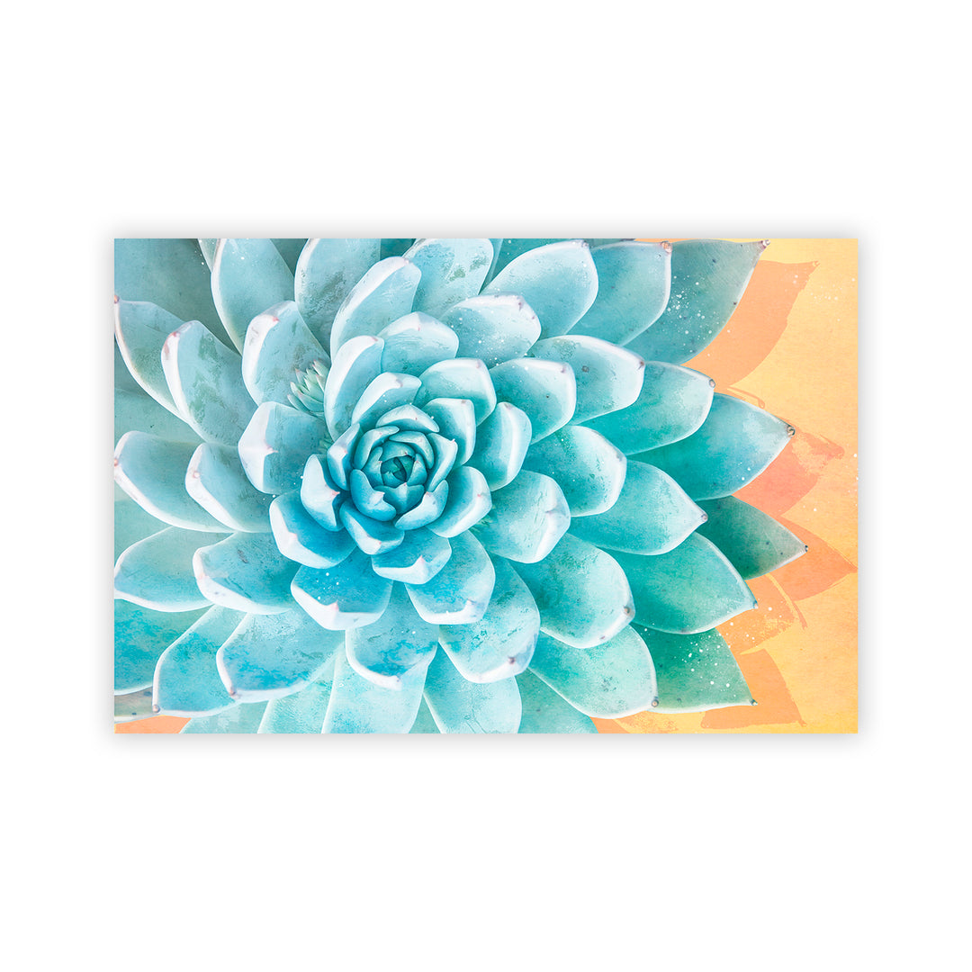 "Awaken Succulent Set of Two" Acrylic Wall Art