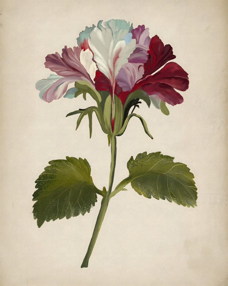 "Vibrant Geranium Bloom" by Josie George — Botanical Wall Art