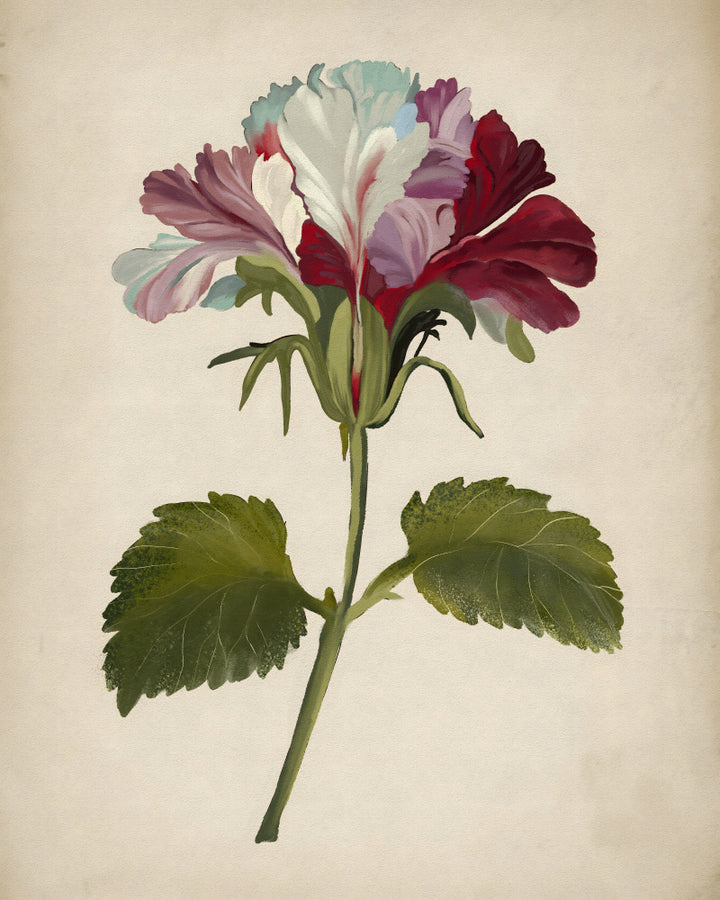 "Vibrant Geranium Bloom" by Josie George — Botanical Wall Art