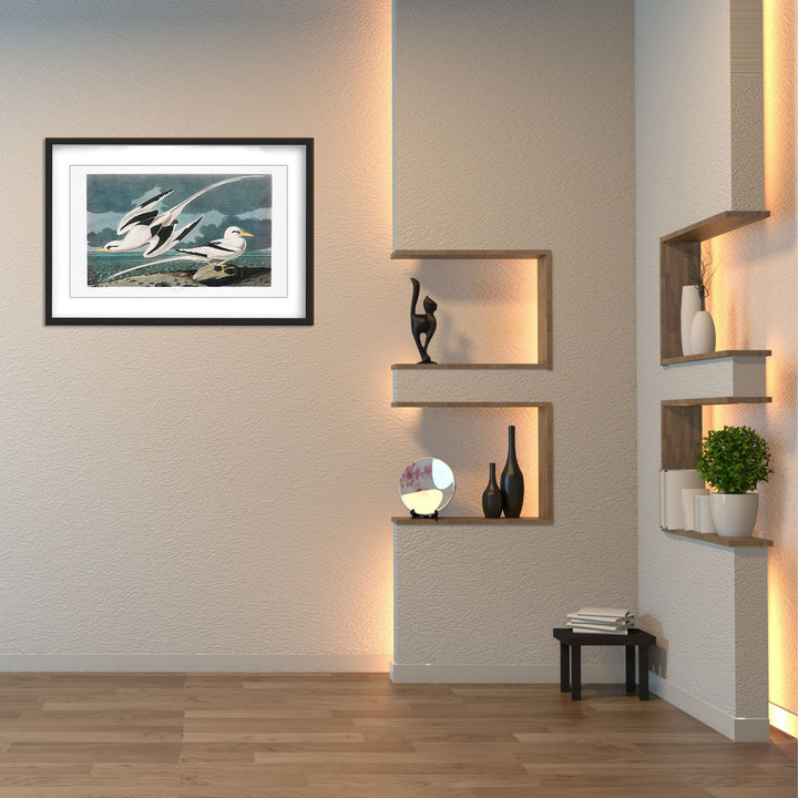 "Tropic Bird From Birds of America (1827)" Framed Matted Print Wall Art
