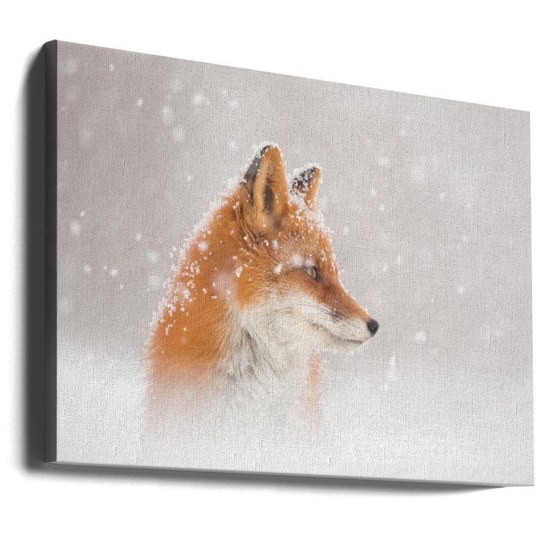 "Snow is fallinga€b" Wrapped Canvas Wall Art