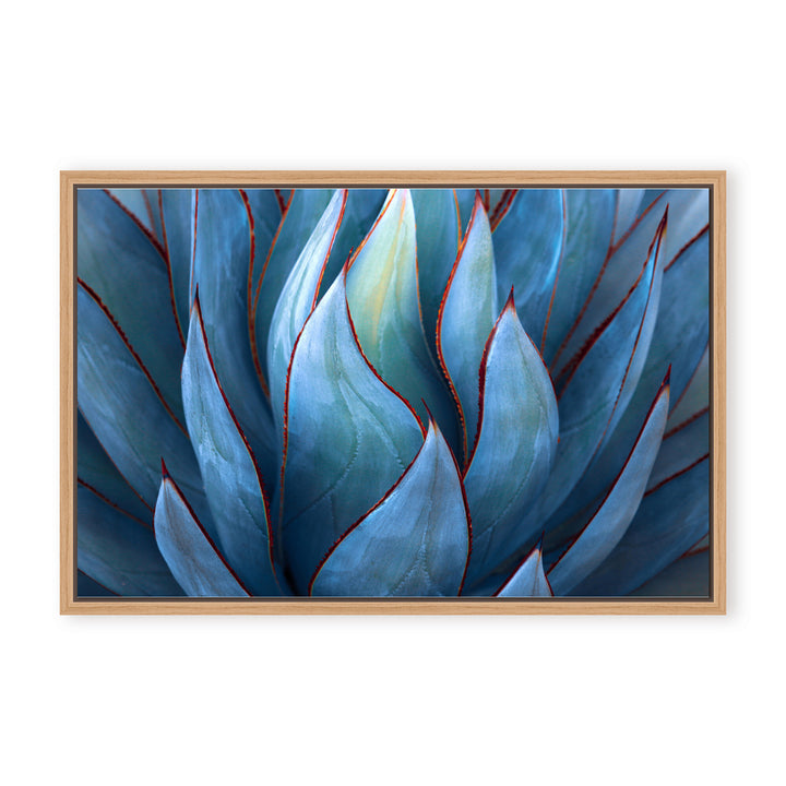 IX2350178-NFC2416