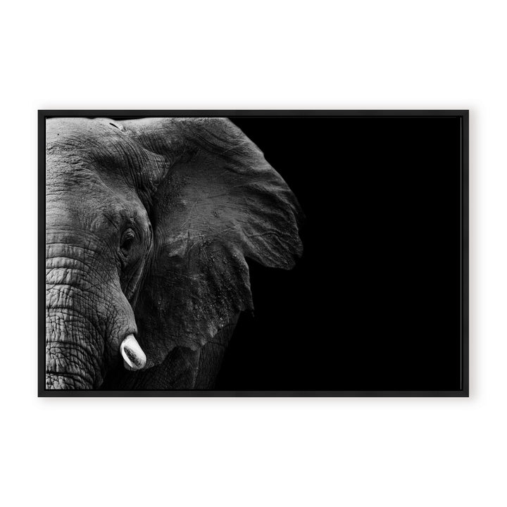 IX1478888-BFC3624