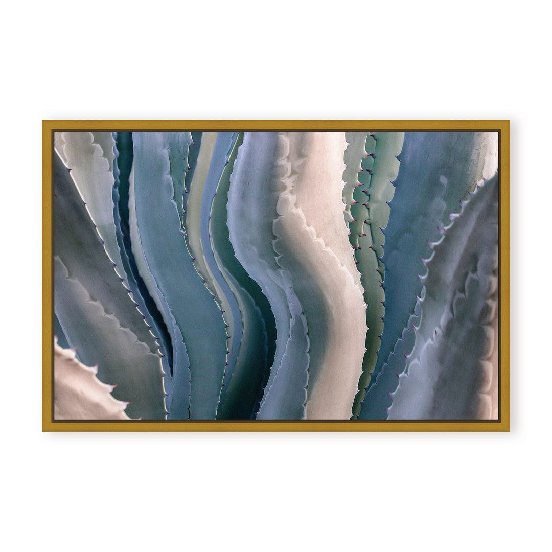 IX2321352-GFC2416