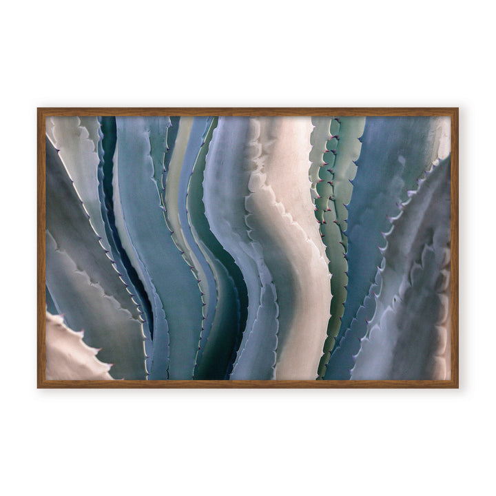 IX2321352-WNFP4832