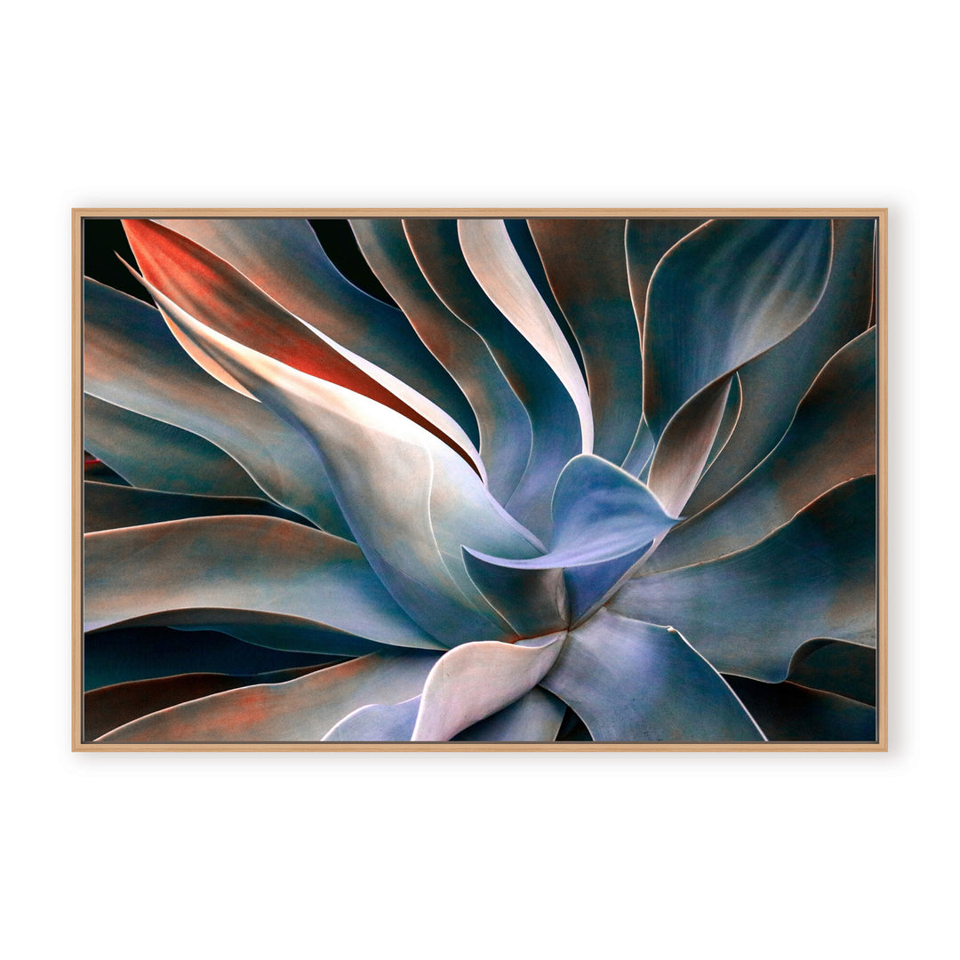 IX2373041-NFC4832