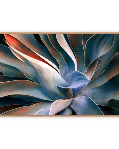 "The Colors in Leaves" Framed Print Wall Art by Robin Wechsler