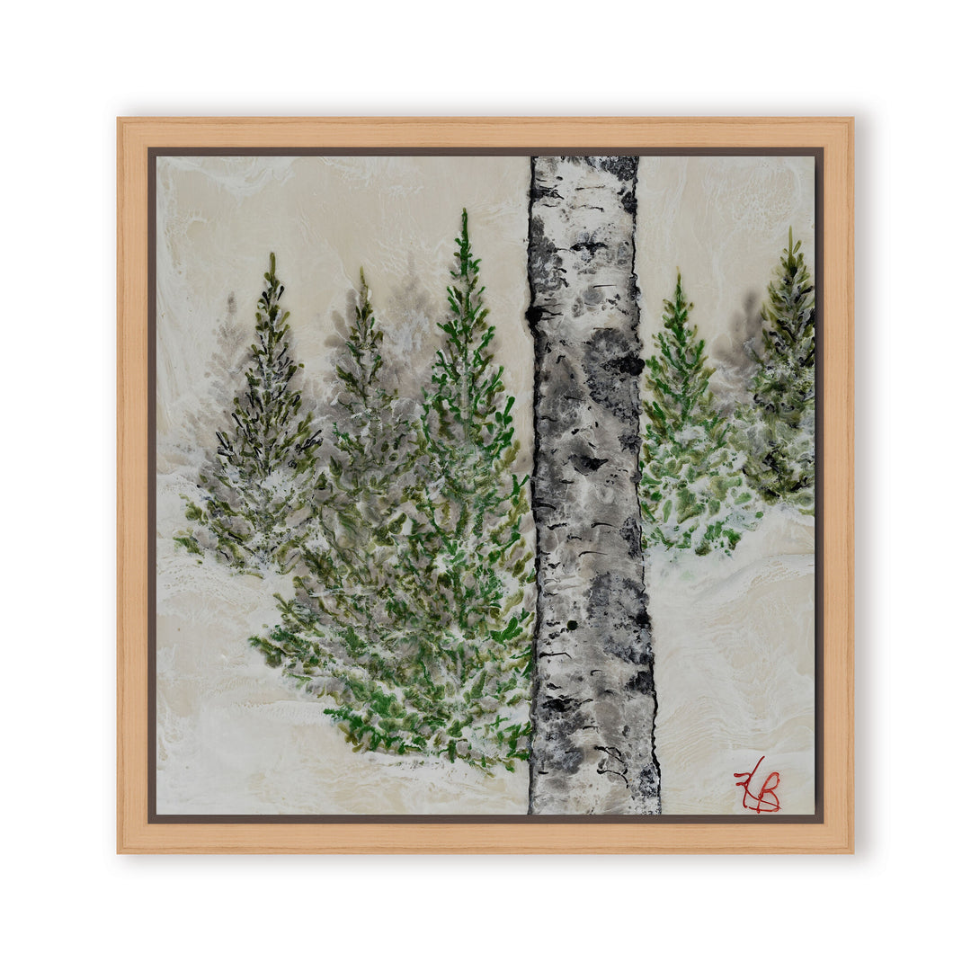 KB079-NFC1212