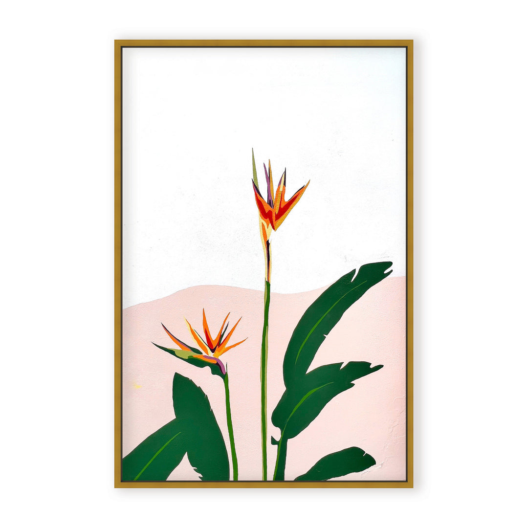 SB005-BFC2436