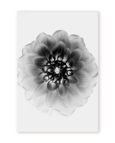 "X-Ray" Framed Print Wall Art by Alex Zhao