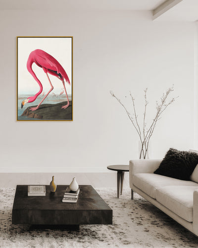 "Pink Flamingo Ii From Birds of America (1827)" Framed Matted Print Wall Art by John James Audubon
