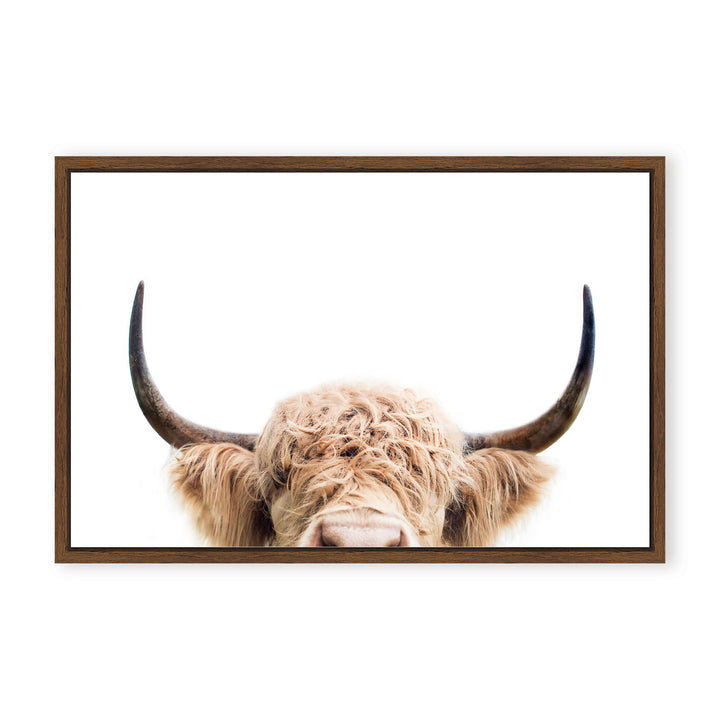 IX2381995-WNFC2416