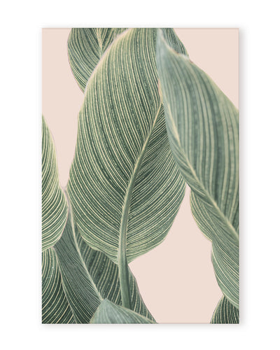 "Calla Leaf" Framed Print Wall Art by Kathrin Pienaar