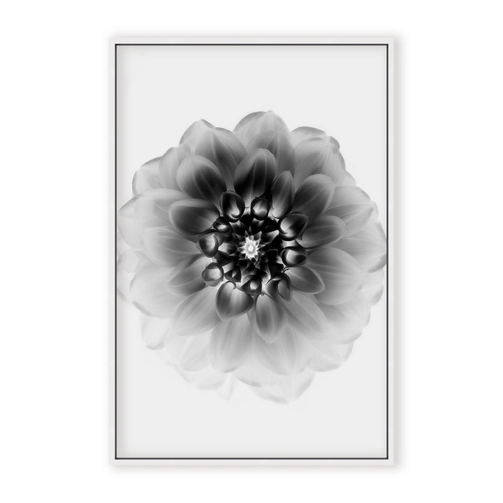 IX2199524-WFC2436