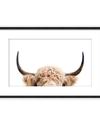 Open Box · Peeking Cow by Kathrin Pienaar