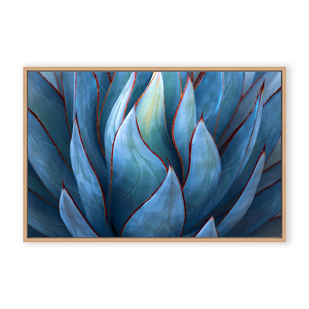 IX2350178-NFC3624
