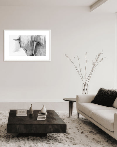 "Halflinger Portrait" Framed Print Wall Art by Kimberly