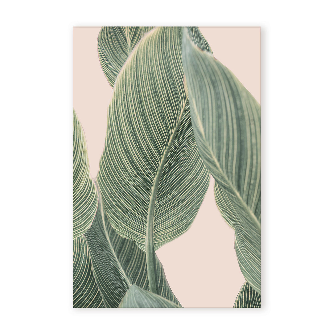 IX2380083-GWC3248
