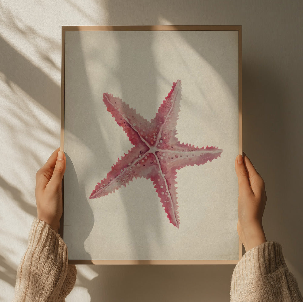 "Vintage Pink Starfish" by Josie George — Animal Wall Art