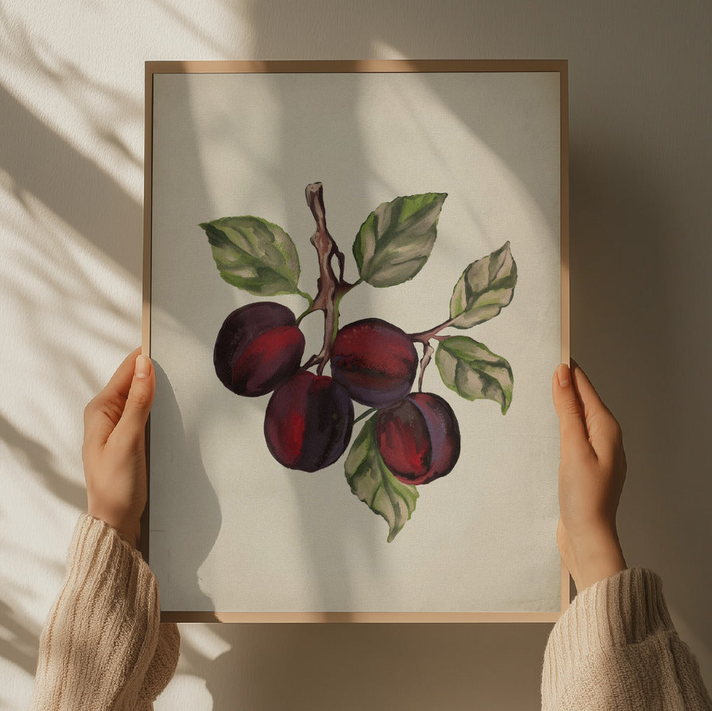 "Ripe Plum Branch" by Josie George — Botanical Wall Art