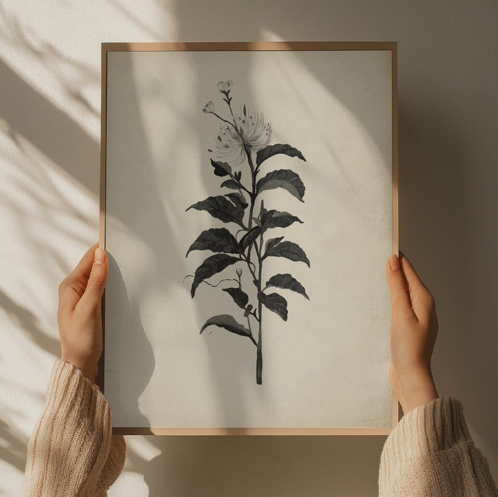 "Vintage Botanical Illustration" by Josie George — Botanical Wall Art