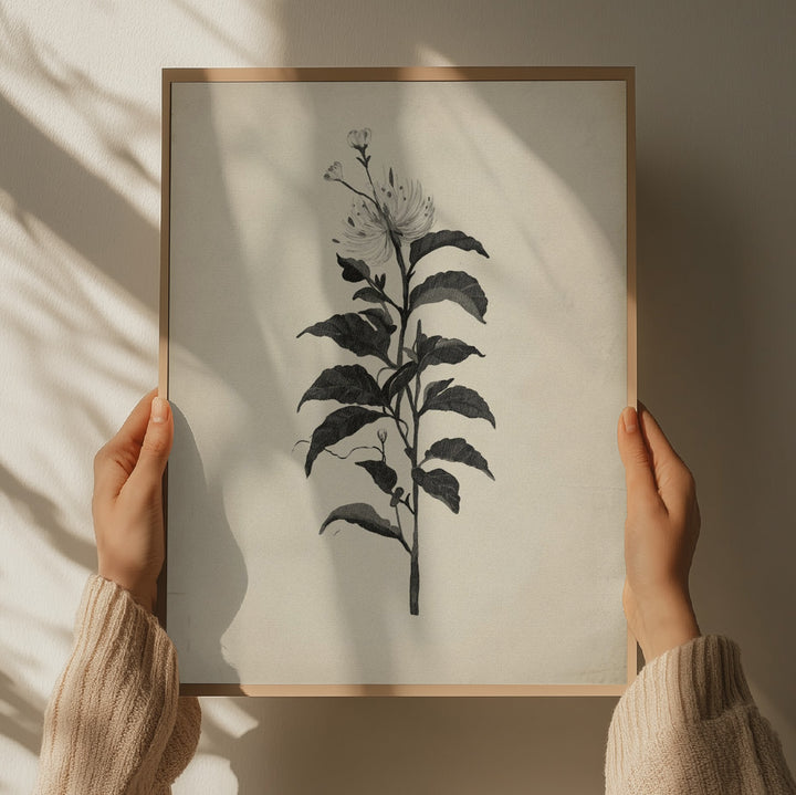 "Vintage Botanical Illustration" by Josie George — Botanical Wall Art