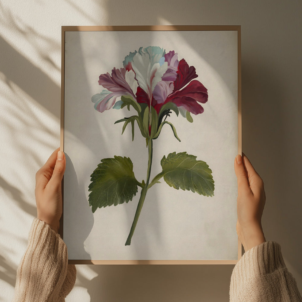 "Vibrant Geranium Bloom" by Josie George — Botanical Wall Art