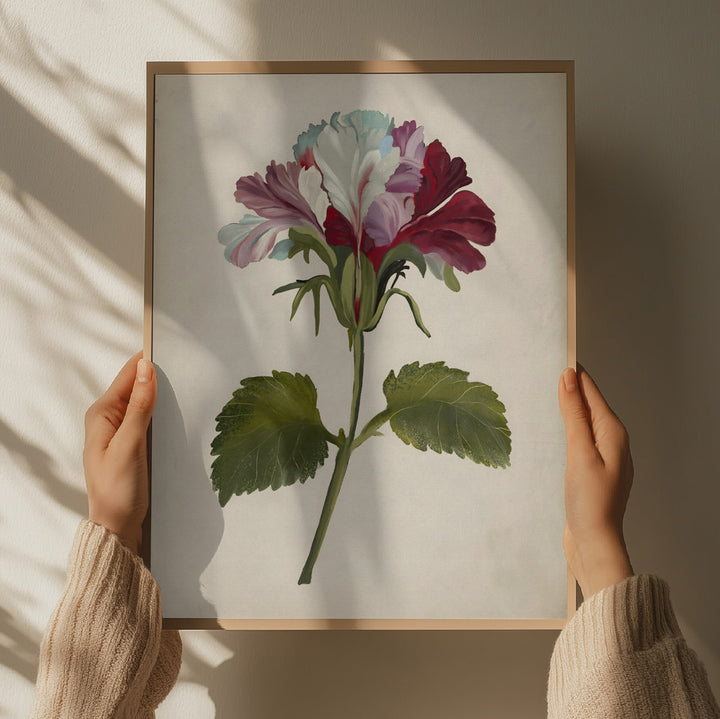 "Vibrant Geranium Bloom" by Josie George — Botanical Wall Art