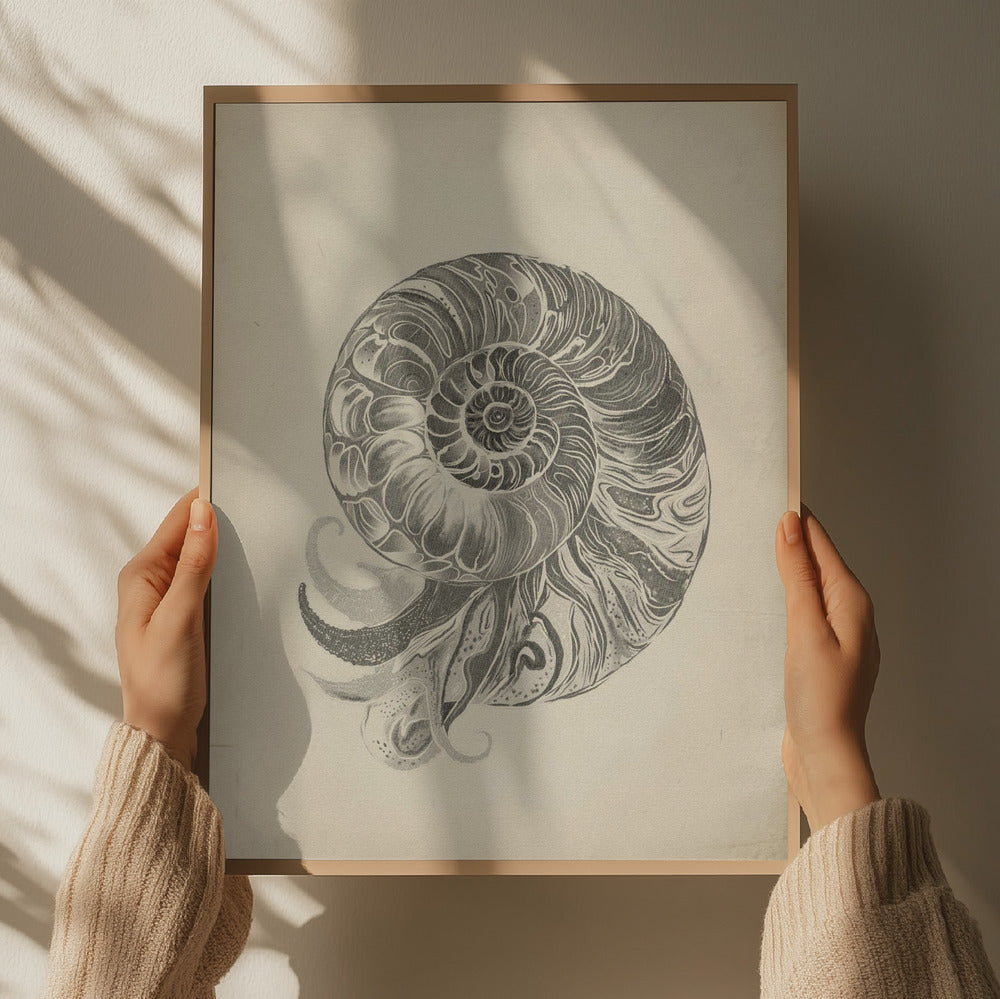 "Intricate Nautilus Spiral" by Josie George — Animal Wall Art