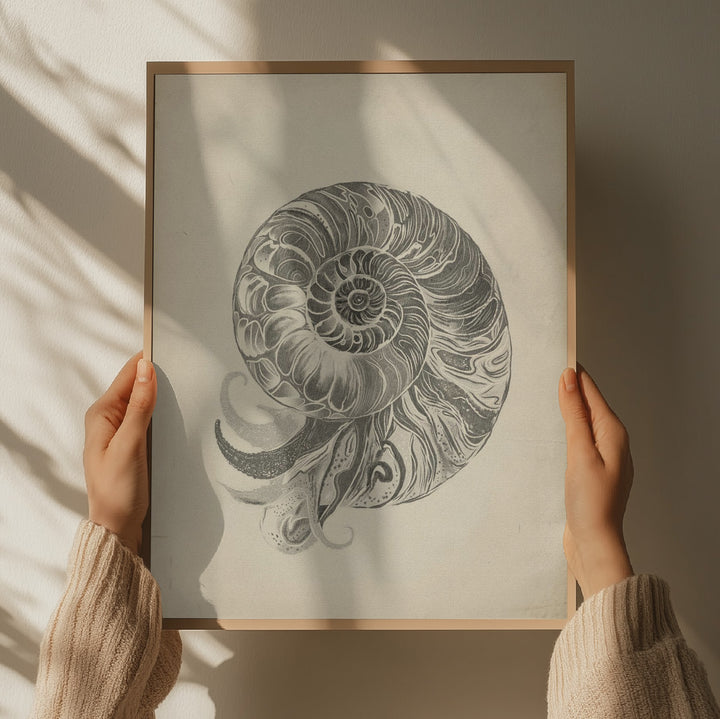 "Intricate Nautilus Spiral" by Josie George — Animal Wall Art