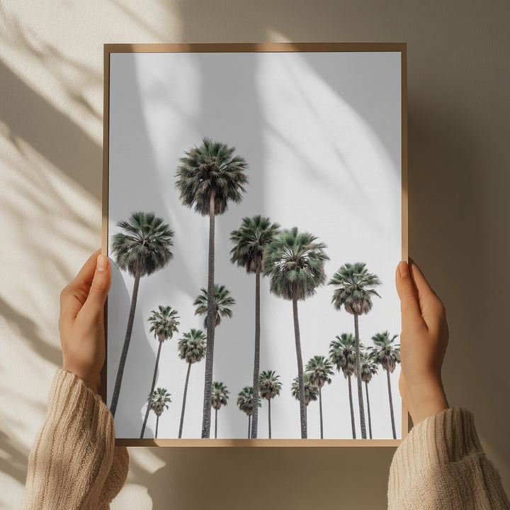 "Tall Tropical Palms" by Josie George — Landscape Wall Art
