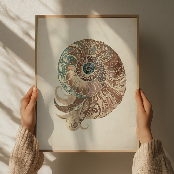 "Elegant Nautilus Shell" by Josie George — Animal Wall Art
