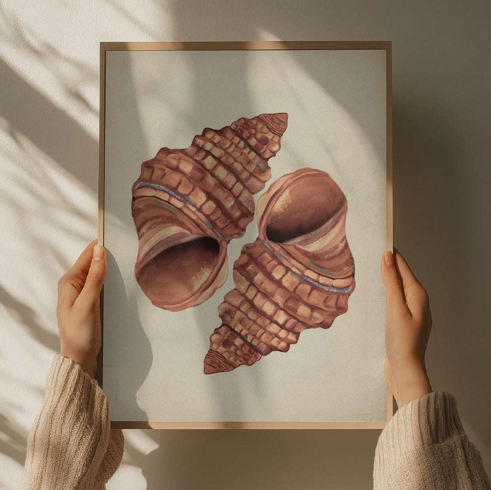"Two Conch Shells" by Josie George — Still Life Wall Art