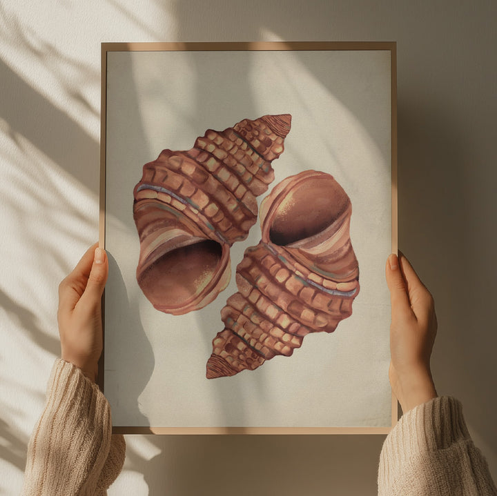"Two Conch Shells" by Josie George — Still Life Wall Art