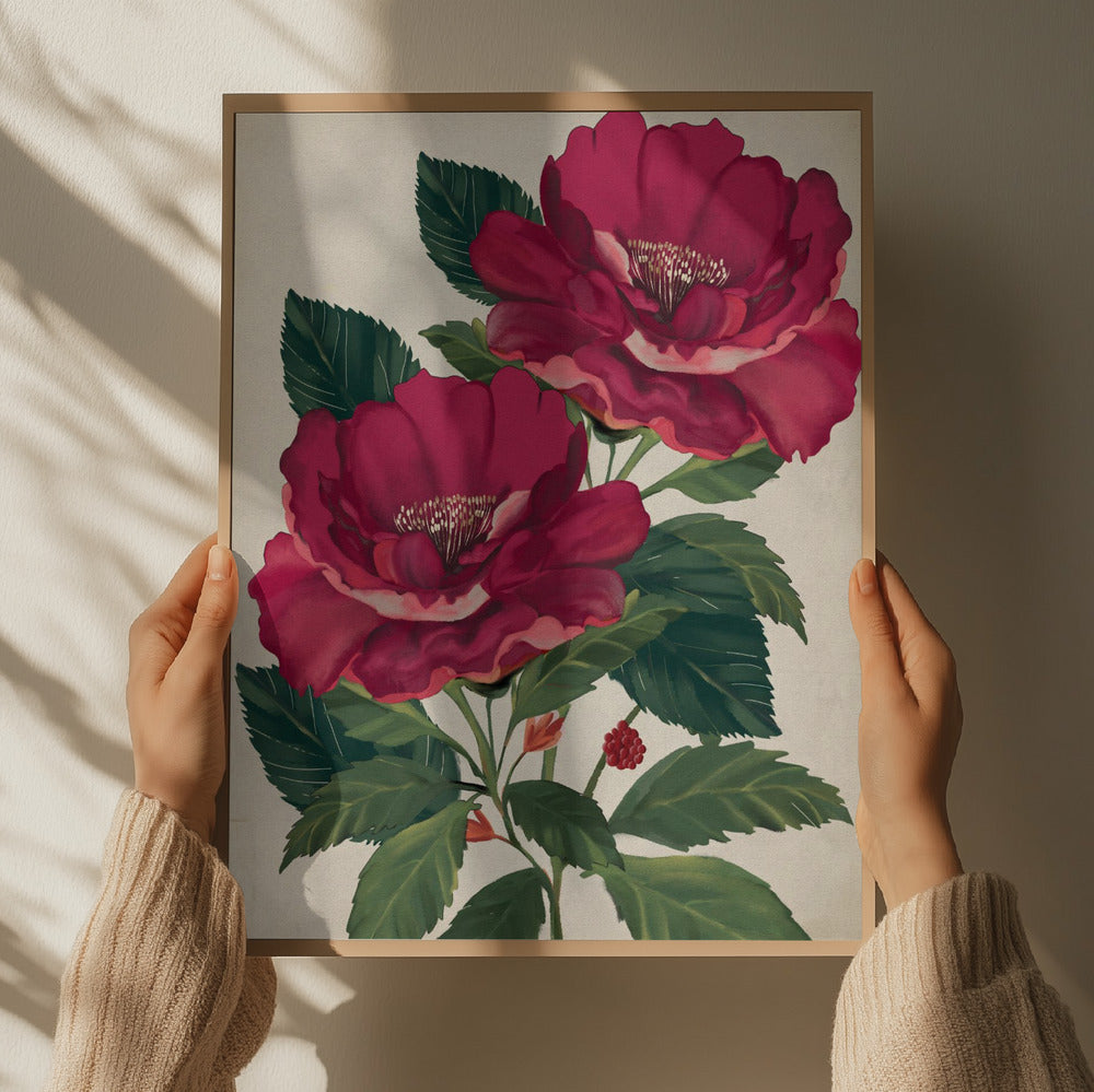 "Rose of Providence" by Josie George — Botanical Wall Art