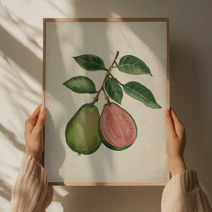 "Fresh Guava Botanical" by Josie George — Botanical Wall Art