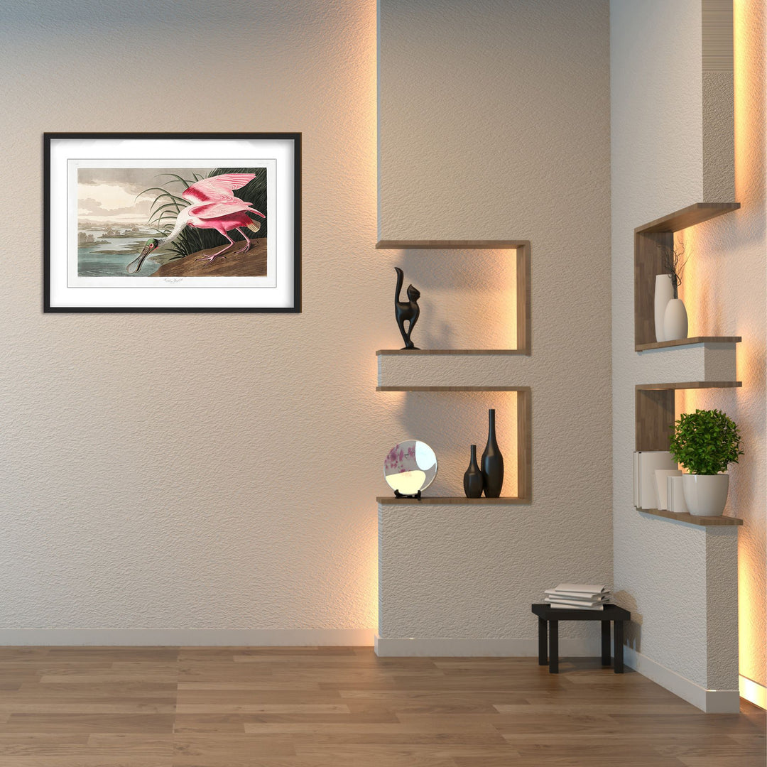 "Roseate Spoonbill From Birds of America (1827)" Framed Matted Print Wall Art