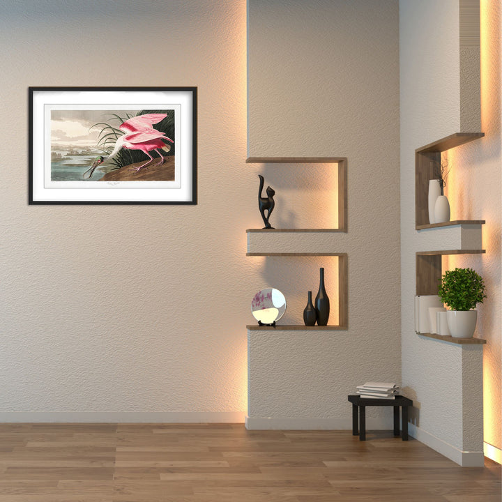 "Roseate Spoonbill From Birds of America (1827)" Framed Matted Print Wall Art