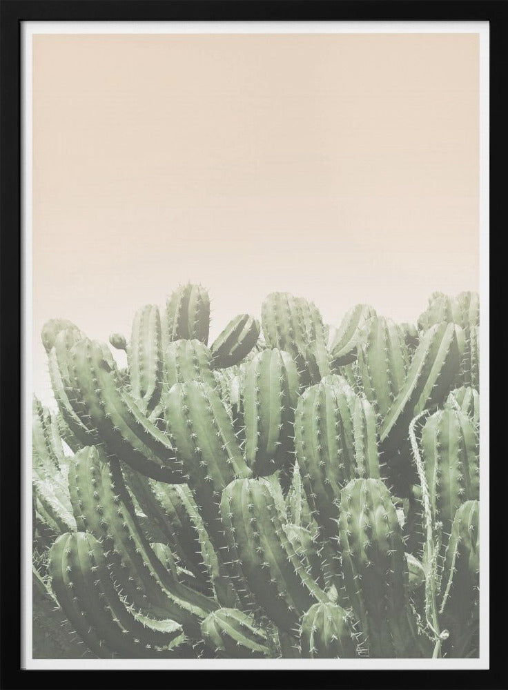 "Boho Cactus No.4" Framed Textured Wall Art