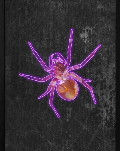 "Halloween Spider" Framed Print Wall Art