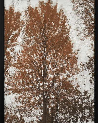 "Aspen" Framed Print Wall Art