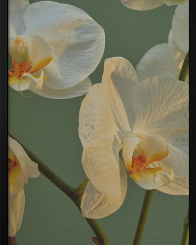 "Floral Haven" Framed Textured Wall Art