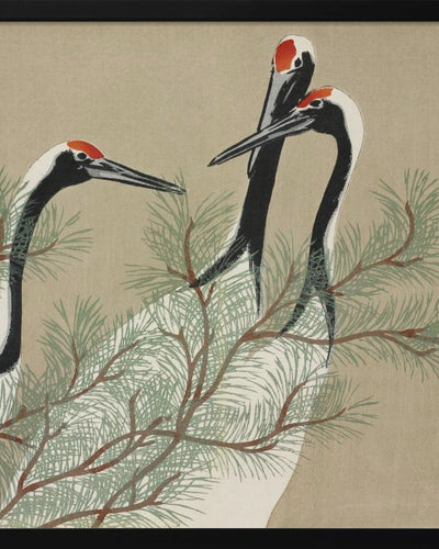 "Cranes From Momoyogusa" Framed Print Wall Art