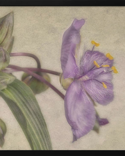 "Purple Flower" Framed Textured Wall Art