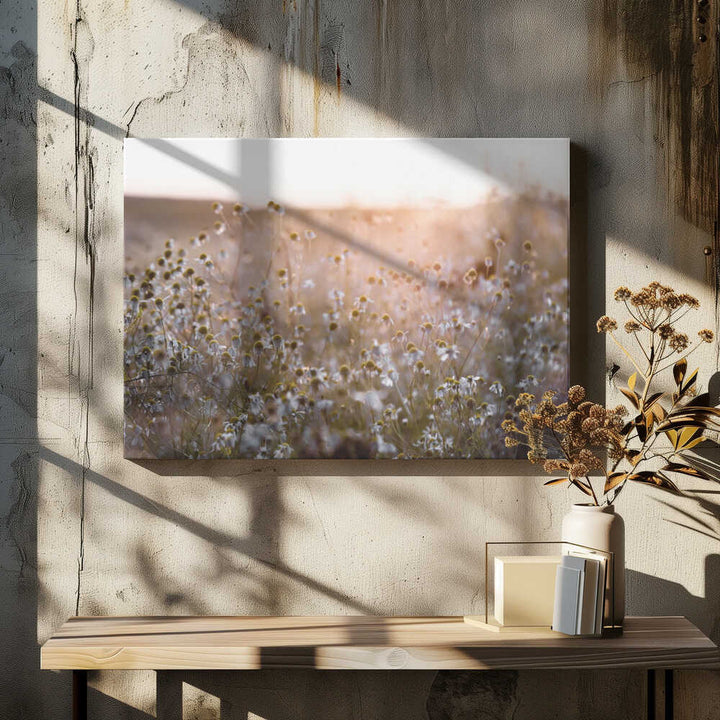 Summer Morning 7