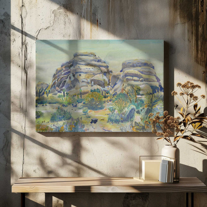 Joshua Tree Landscape