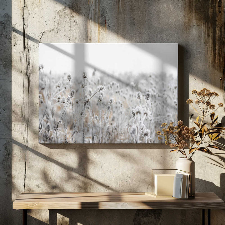Winter Field 5