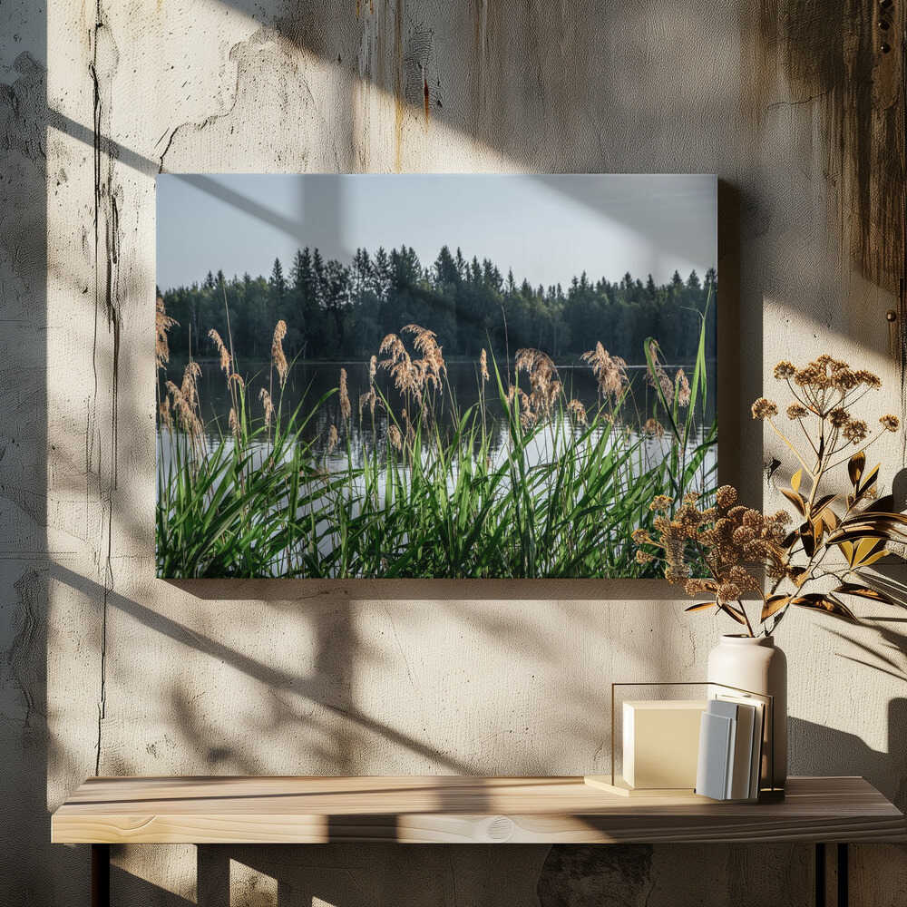 Peaceful Lake Reeds