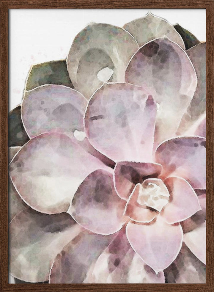 "Succulent Close-up" Framed Textured Wall Art