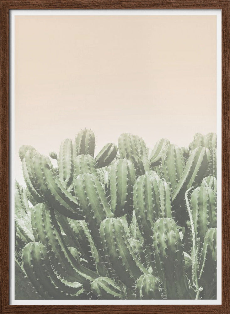 "Boho Cactus No.4" Framed Textured Wall Art